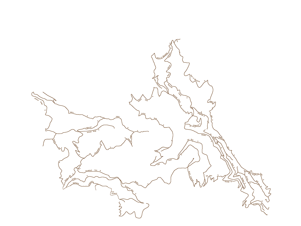 Multi use trails in Forest Park Trail System
