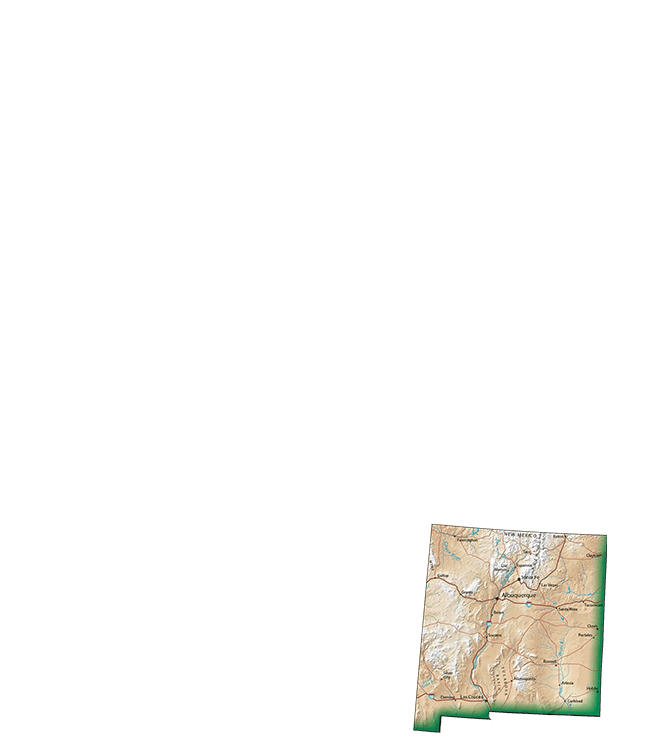 New Mexico State Map